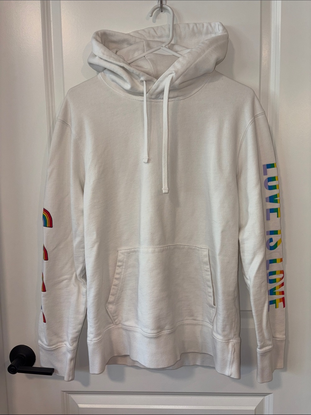 American Eagle Pride Hoodie